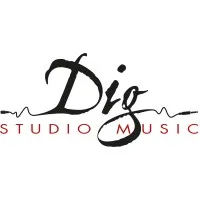 DIG STUDIO MUSIC (D.S.M) logo