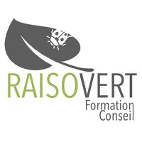 RAISOVERT logo