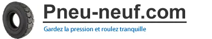 GESTION PNEU logo