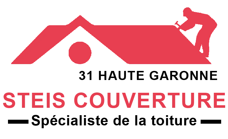 STEIS KEN logo