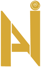VAUCHE NICOLAS logo