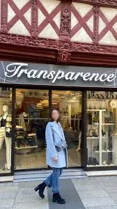 INSTITUT TRANSPARENCE logo