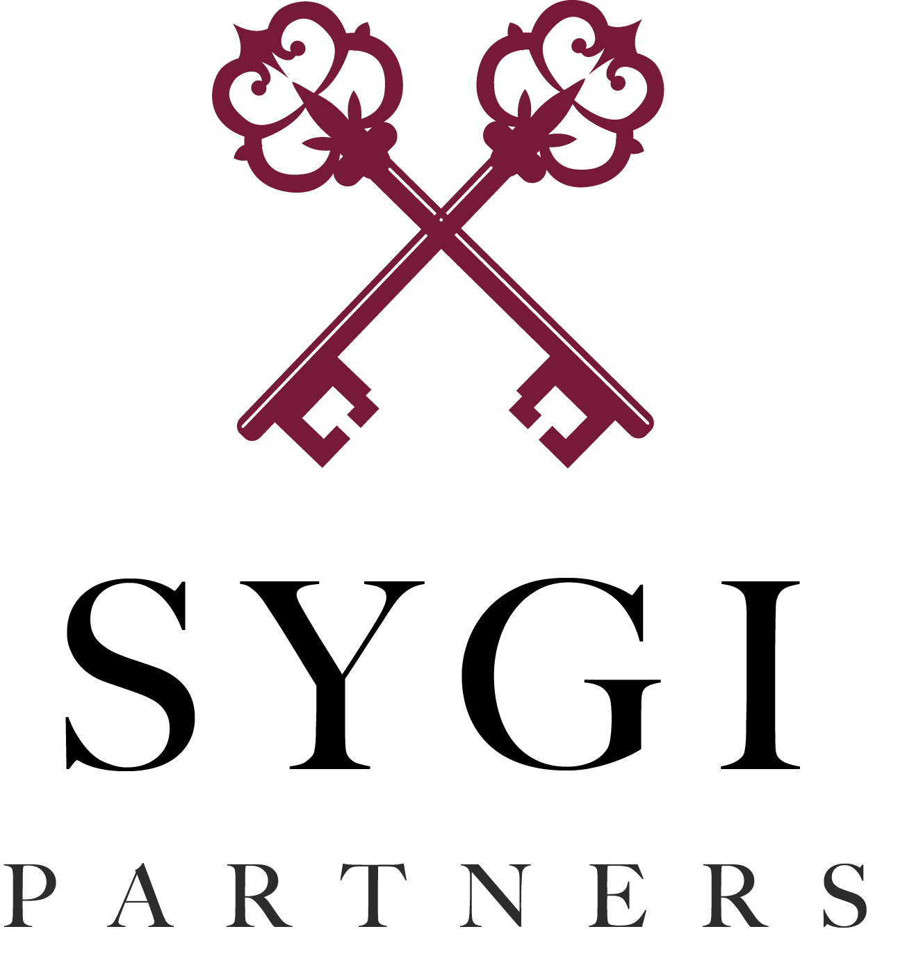SYGI PARTNERS logo