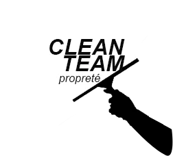 CLEAN TEAM logo