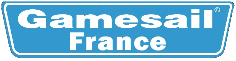 BLANCHISSEUR.FR logo
