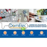 DOMELEC logo