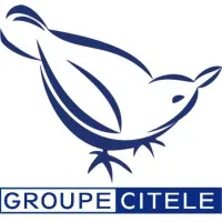 SA CITELE logo