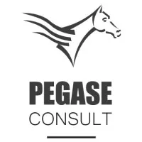 PEGASE CONSULT logo