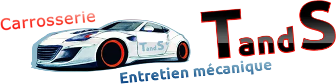 T AND S logo