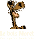 MARION POCHE logo