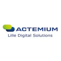 LILLE DIGITAL SOLUTIONS logo