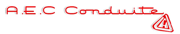 AVILES EMILIE logo