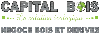 CAPITAL BOIS logo