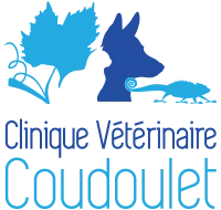 DOCTEURS VETERINAIRES DU COUDOULET logo