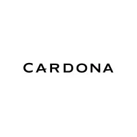 C AND T logo