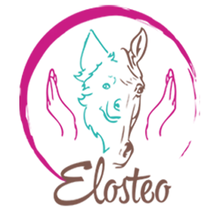 BORGES ELODIE logo