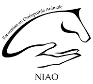 NIAO logo