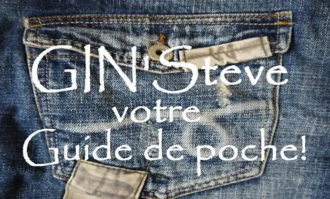 VACHET STEVE logo