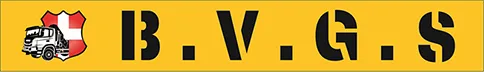 BUZZONI - VADORI - GRUE SERVICE - B.V.G.S. logo