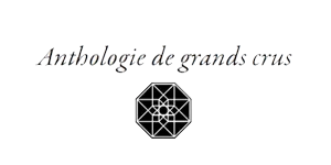 B DE BEAUTE logo