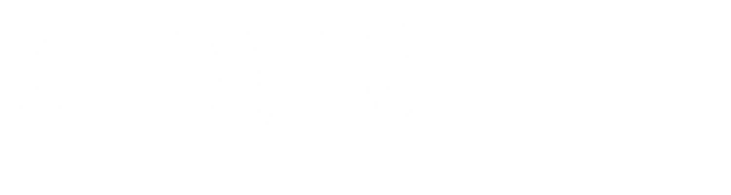 DENOYELLE DAVID logo