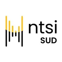 NTSI SUD logo