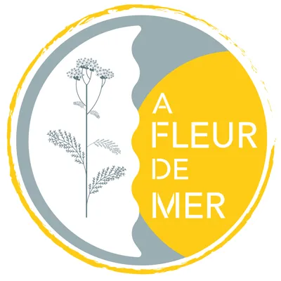 RIO ALEXANDRE logo