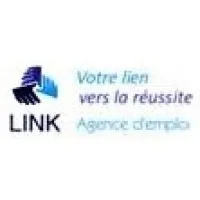 LINK INTERIM logo