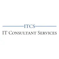 IT CONSULTANT SERVICES logo
