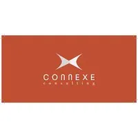 CONNEXE CONSULTING logo