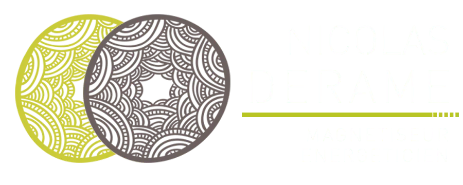 DERAME NICOLAS logo