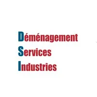 DEMENAGEMENT SERVICES INDUSTRIES (D.S.I) logo
