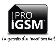 PRO GSM logo