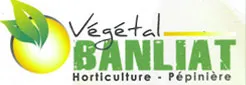 VEGETAL BANLIAT logo