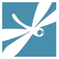 DEEPGRAY VISION logo
