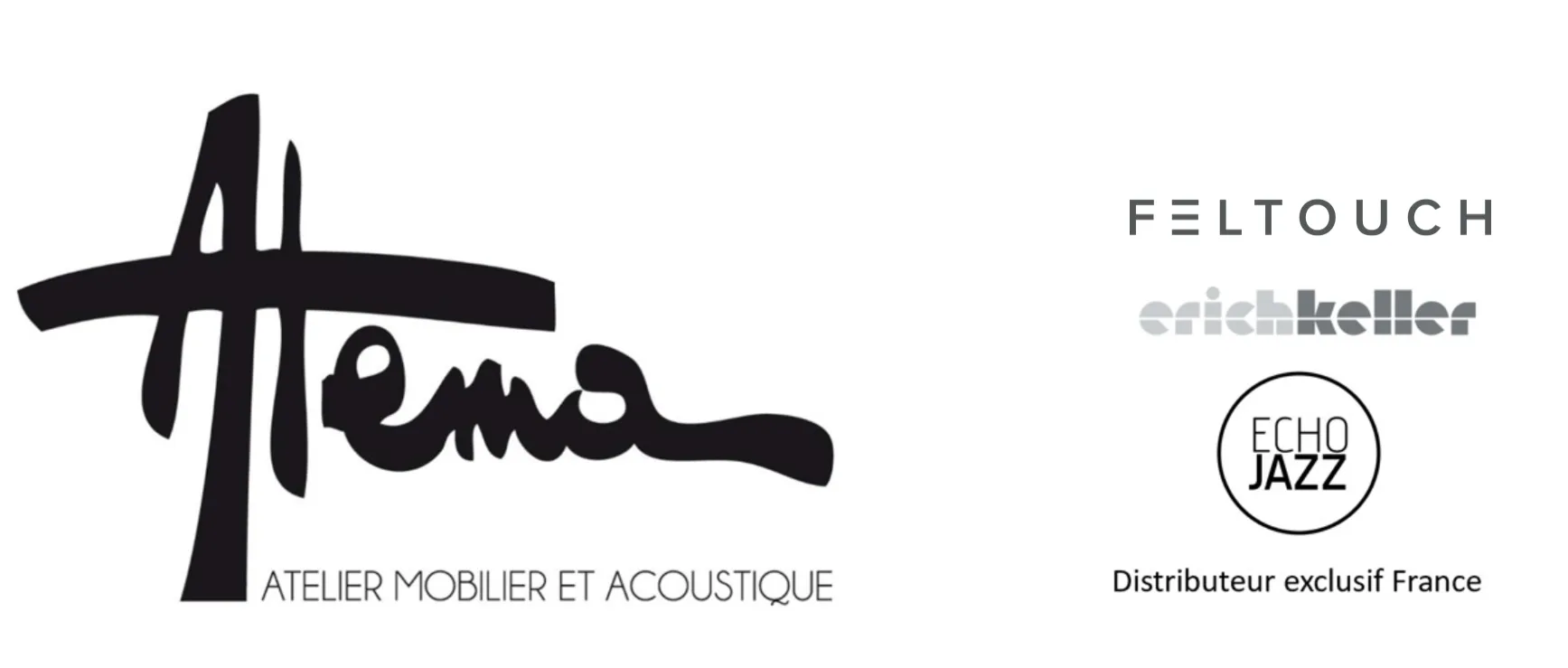 ATEMA SA logo