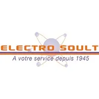ELECTRO-SOULT logo