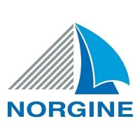NORGINE SAS logo