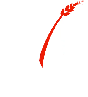 SA MINOTERIE MECHAIN logo