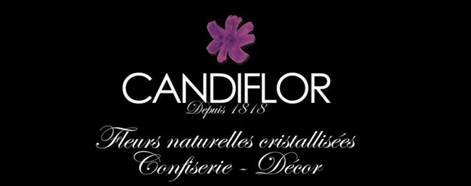 SARL ETABLISSEMENTS DEDIEU logo