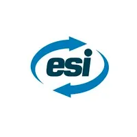 ESI FINE ART logo