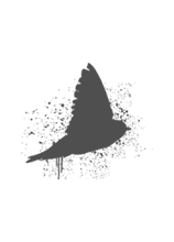 EMILE RICARD logo