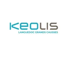 LES COURRIERS DU MIDI logo