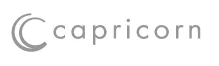 CAPRICORN AUTOMOTIVE logo
