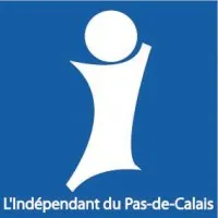 IDS logo