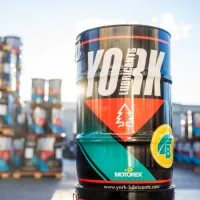 Voici le logo de la marque K9 ENERGY qui représente son identité graphique.