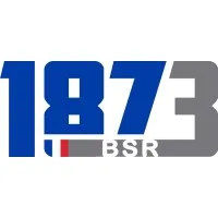 BARBIERI SALMON REUNIES (BSR) logo