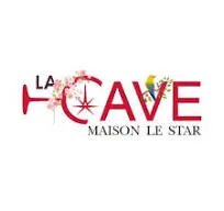 MAISON LE STAR VIGNOBLES & CHATEAUX logo