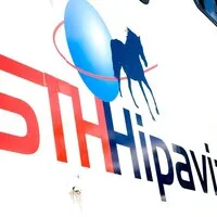 S.T.H.HIPAVIA (STH HIPAVIA) logo