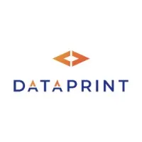 DATA PRINT logo